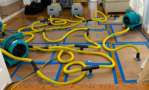 Professional Water Damage Restoration technician working in Sherwood, TN